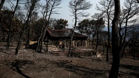 Remite el incendio de Grecia. Remite el incendio de Grecia.
