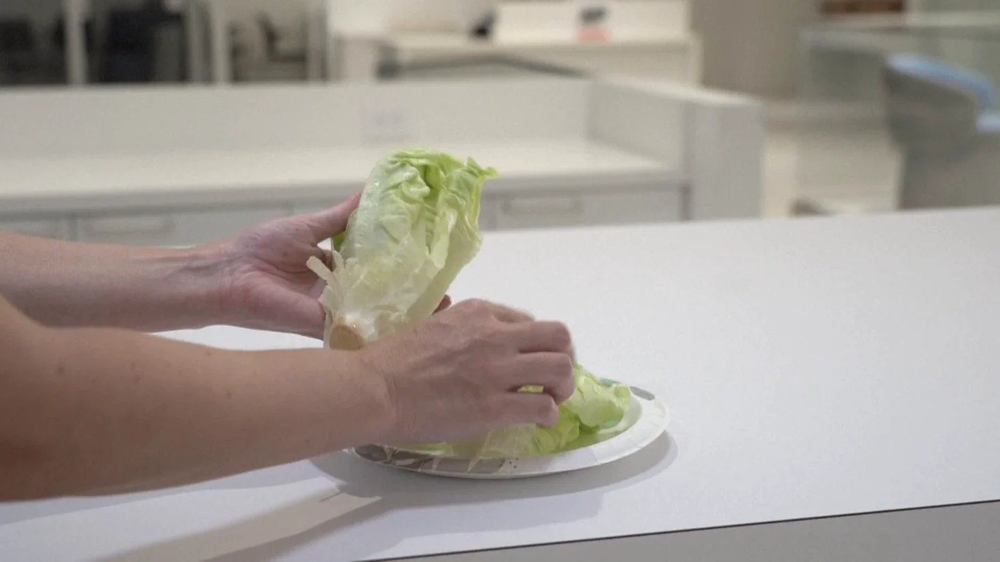 Lechuga Lechuga
