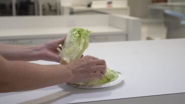 Lechuga