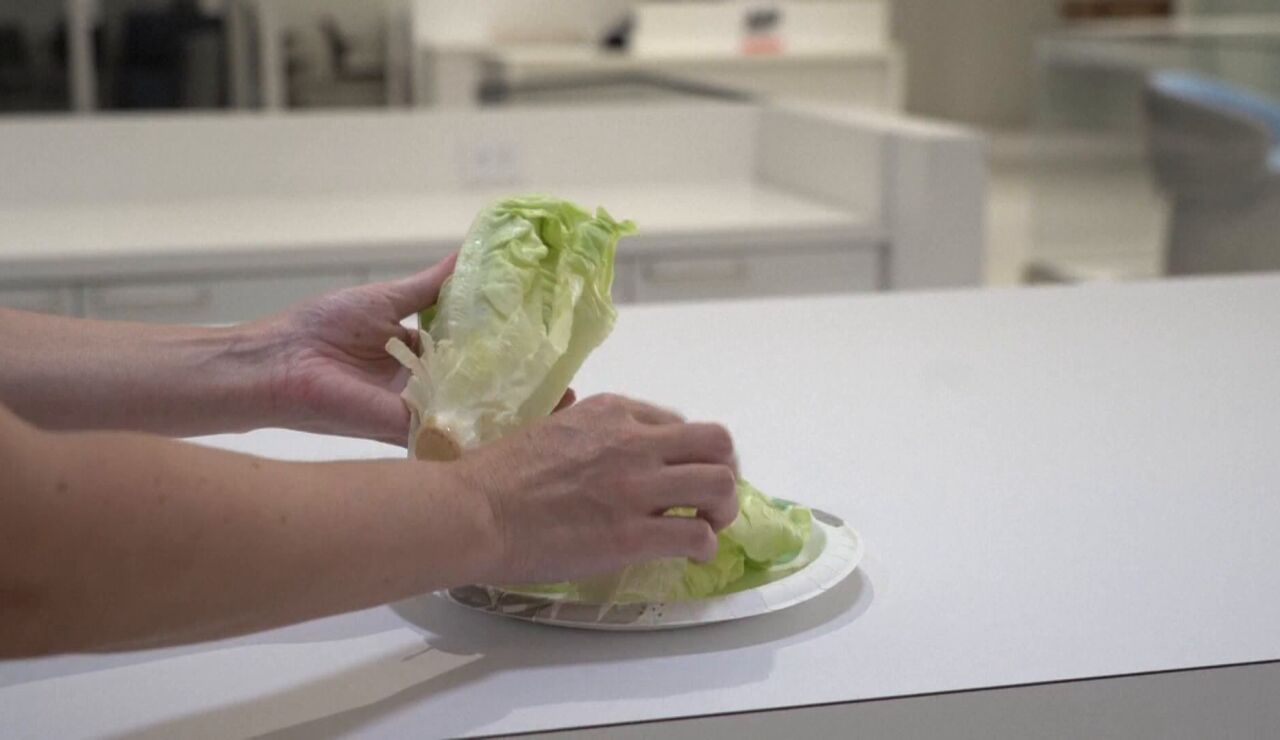 Lechuga