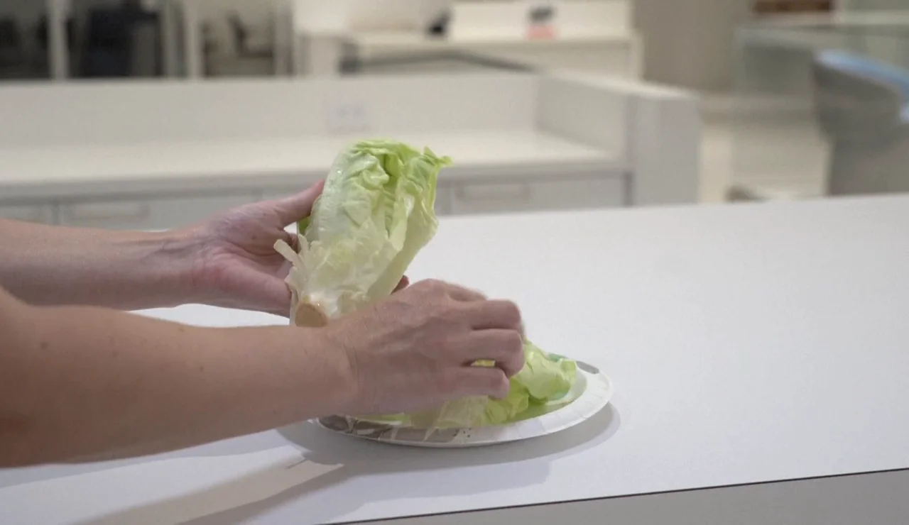Lechuga