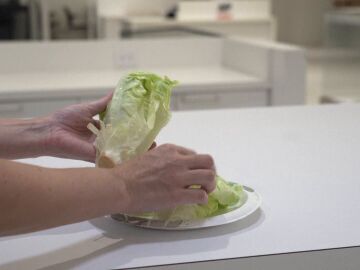 Lechuga Lechuga