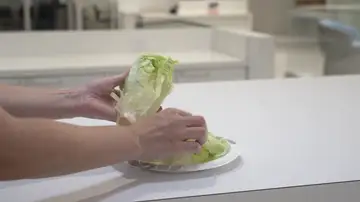 Lechuga Lechuga