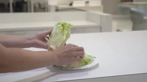Lechuga Lechuga