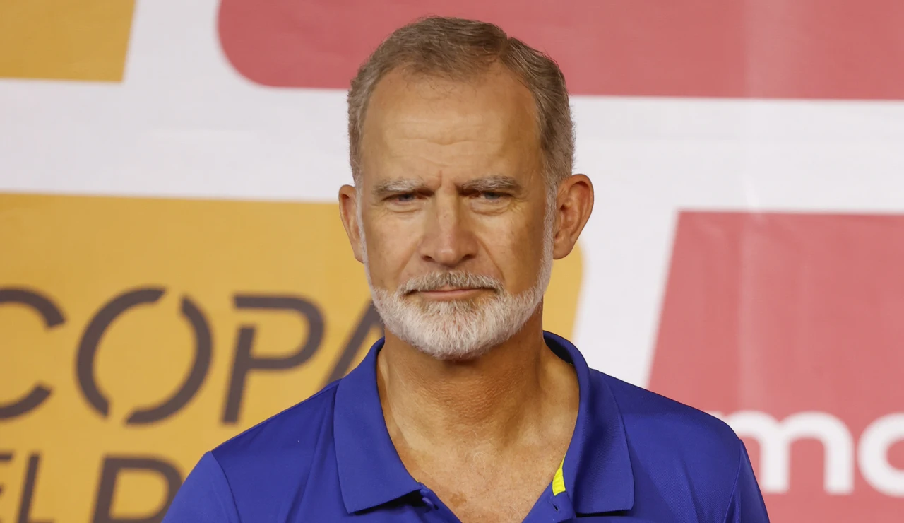 El rey Felipe VI