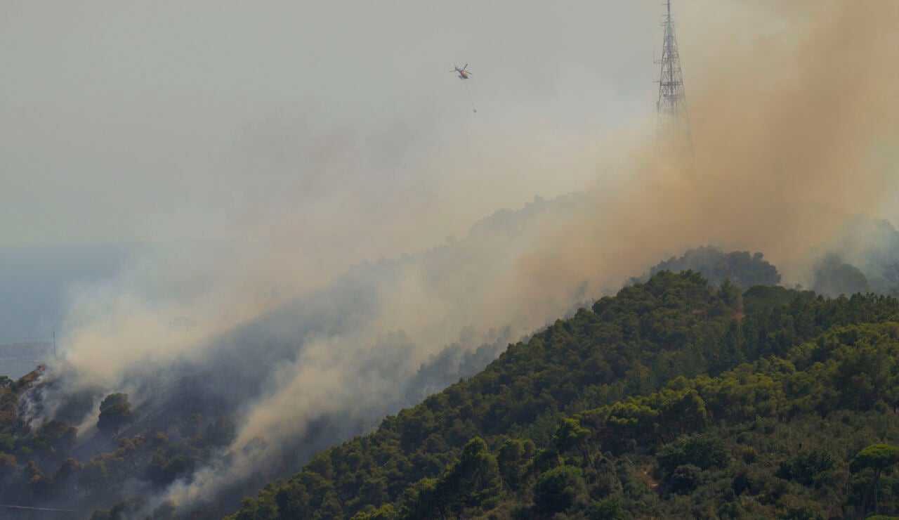 Incendio forestal en la monta&ntilde;a de Sant Pere M&agrave;rtir, en Collserola