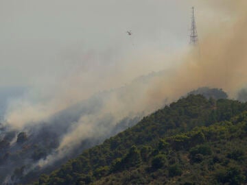 Incendio forestal en la monta&ntilde;a de Sant Pere M&agrave;rtir, en Collserola