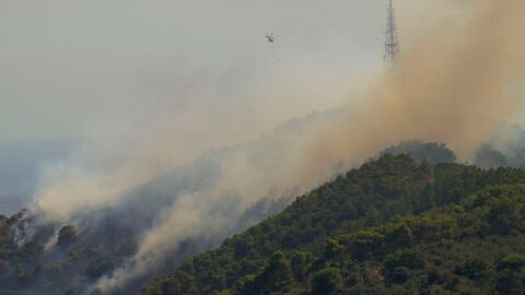 Incendio forestal en la monta&ntilde;a de Sant Pere M&agrave;rtir, en Collserola