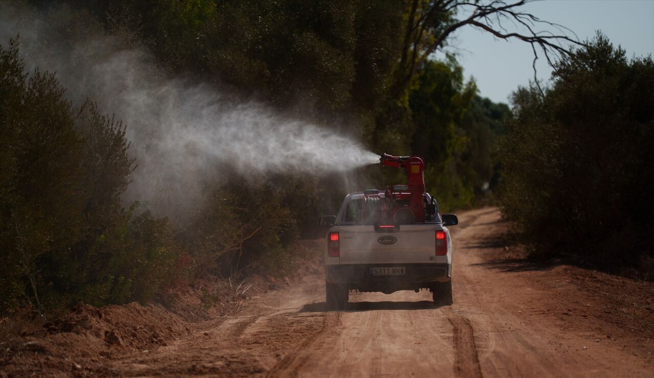 Operarios realizando labores de control de mosquitos