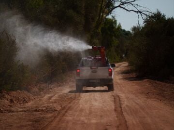 Operarios realizando labores de control de mosquitos