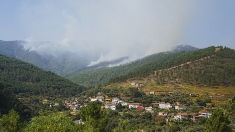 Incendio Pinofranqueado