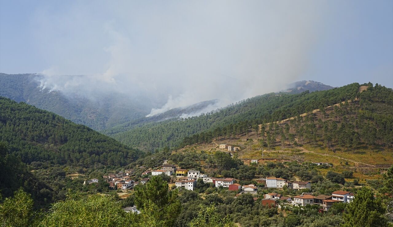 Incendio Pinofranqueado