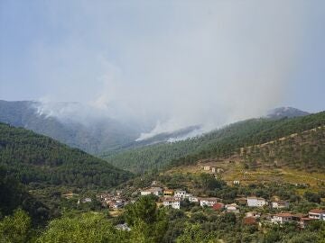 Incendio Pinofranqueado