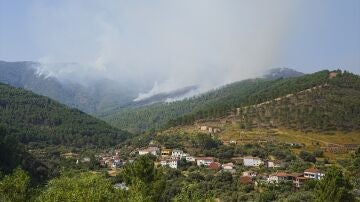 Incendio Pinofranqueado