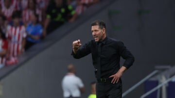 Simeone durante el partido contra el M&aacute;laga