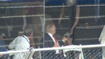 Trump y Harp