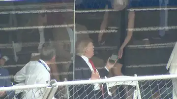Trump y Harp Trump y Harp