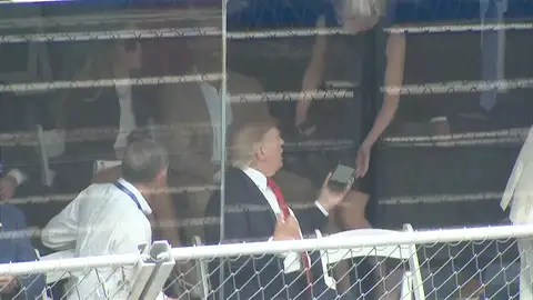 Trump y Harp Trump y Harp
