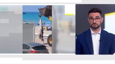 At&uacute;n en La Manga