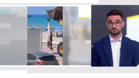 At&uacute;n en La Manga