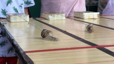Carrera de caracoles