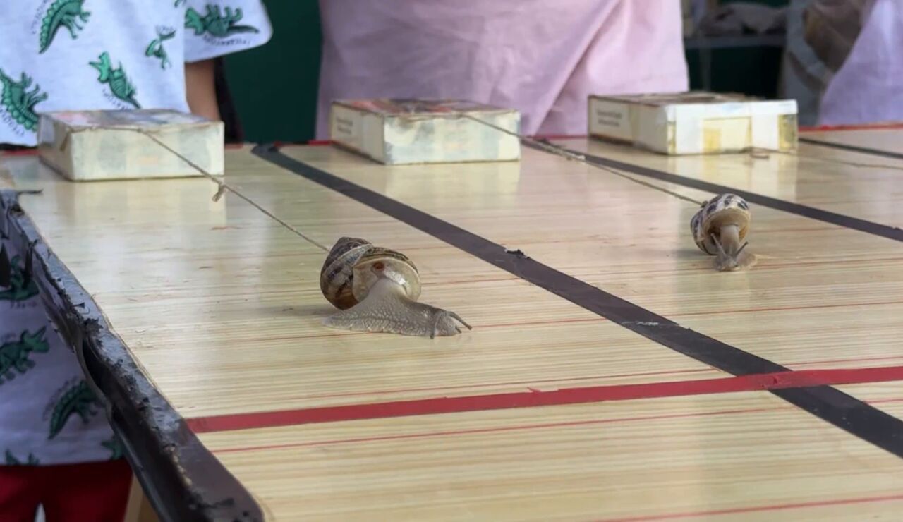 Carrera de caracoles
