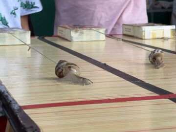 Carrera de caracoles