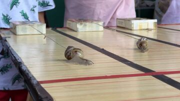 Carrera de caracoles