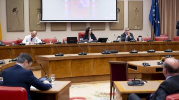Comisi&oacute;n de Seguridad Nacional