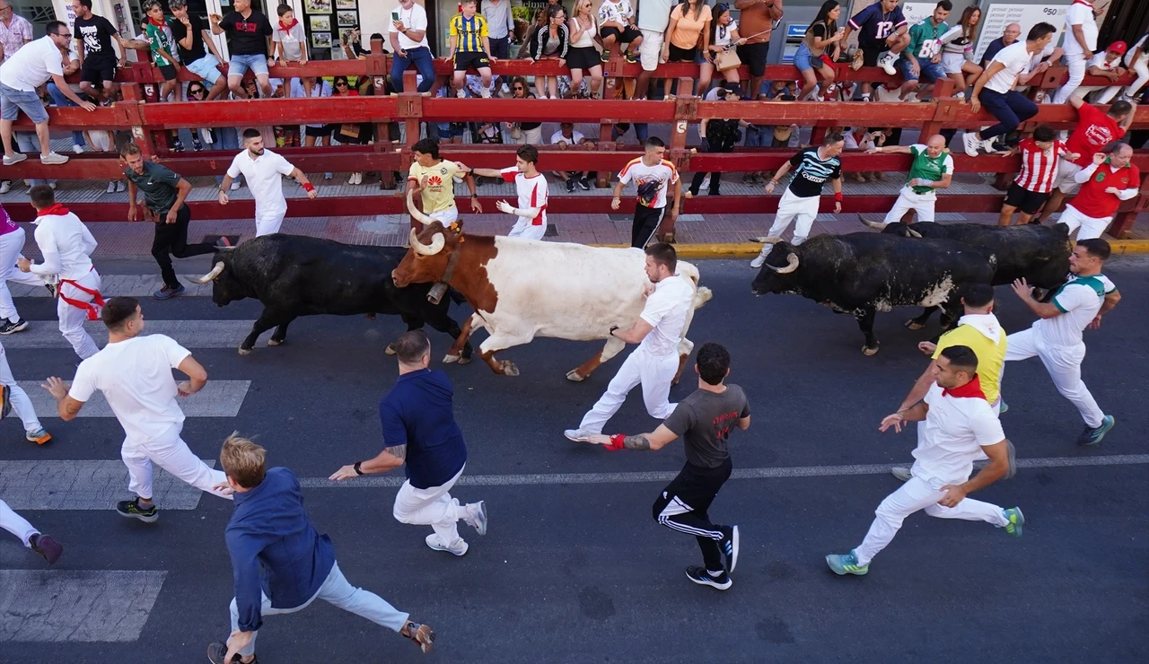 Encierros de San Sebastián de los Reyes 2026