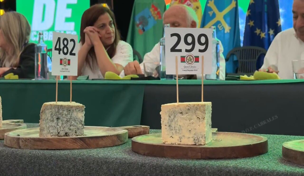 Queso cabrales