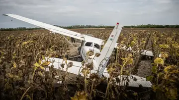 Imagen de la aeronave en un campo de girasoles. Imagen de la aeronave en un campo de girasoles.