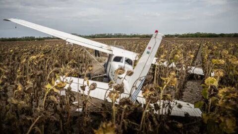 Imagen de la aeronave en un campo de girasoles. 
