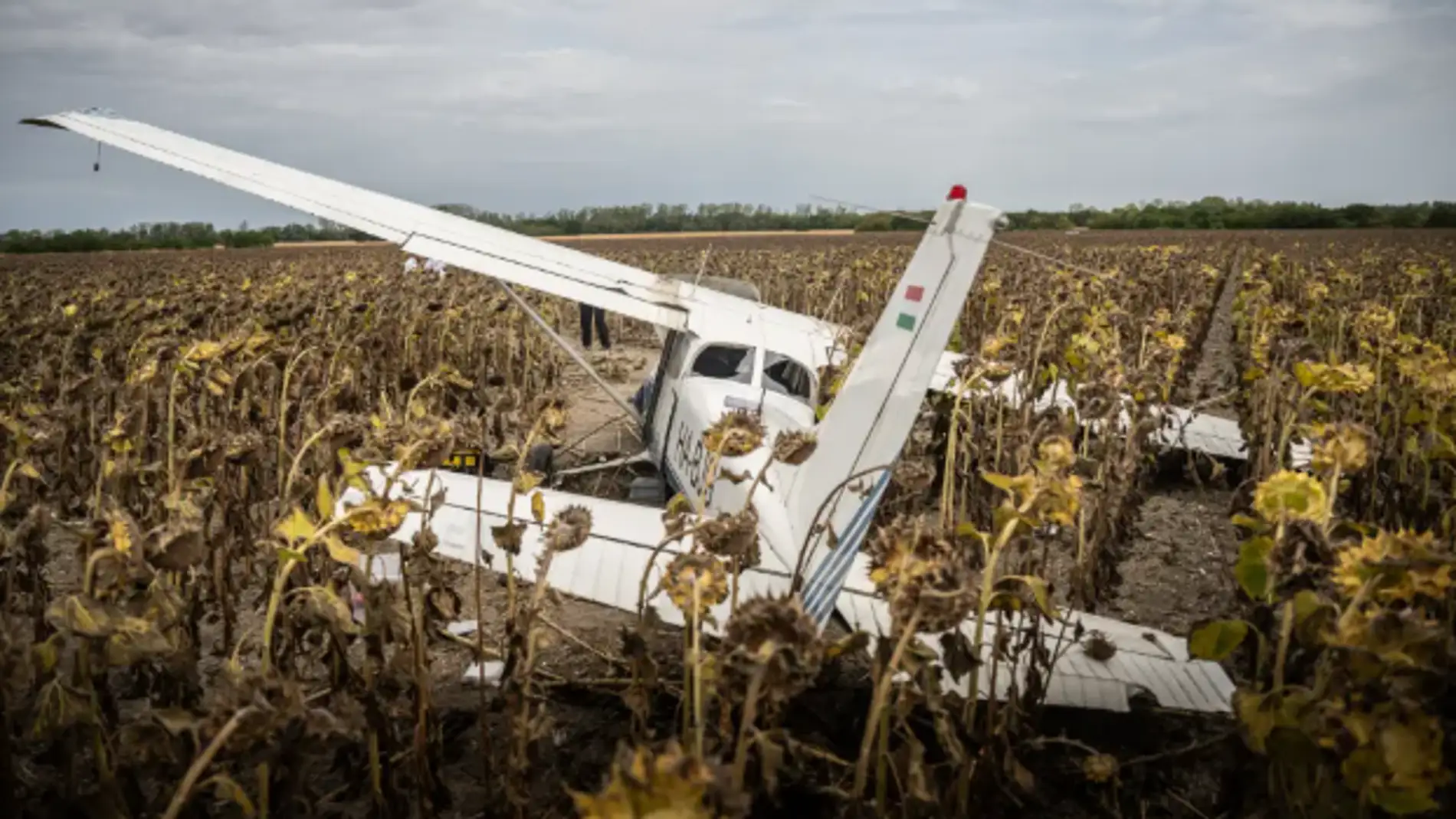Imagen de la aeronave en un campo de girasoles. Imagen de la aeronave en un campo de girasoles.