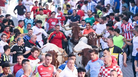 Encierros de San Sebasti&aacute;n de Los Reyes 2026