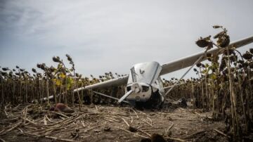 Imagen de la aeronave en un campo de girasoles