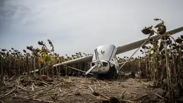 Imagen de la aeronave en un campo de girasoles Imagen de la aeronave en un campo de girasoles