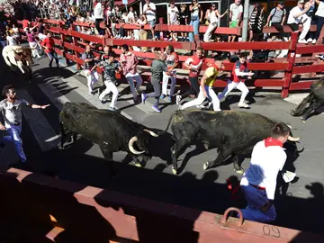 Encierros de San Sebastián de los Reyes 2026 Encierros de San Sebastián de los Reyes 2026