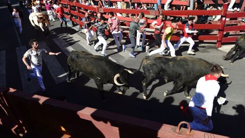Encierros de San Sebasti&aacute;n de los Reyes 2026