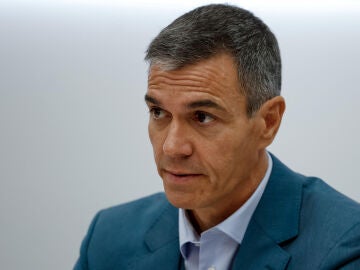 Pedro S&aacute;nchez