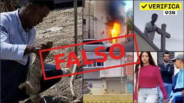 De un migrante matando a un gato a una joven acosada: la verdad detrás de los bulos sobre la crisis migratoria en Ceuta De un migrante matando a un gato a una joven acosada: la verdad detrás de los bulos sobre la crisis migratoria en Ceuta