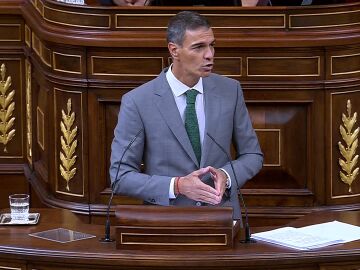 Pedro S&aacute;nchez