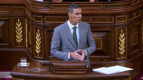 Pedro S&aacute;nchez