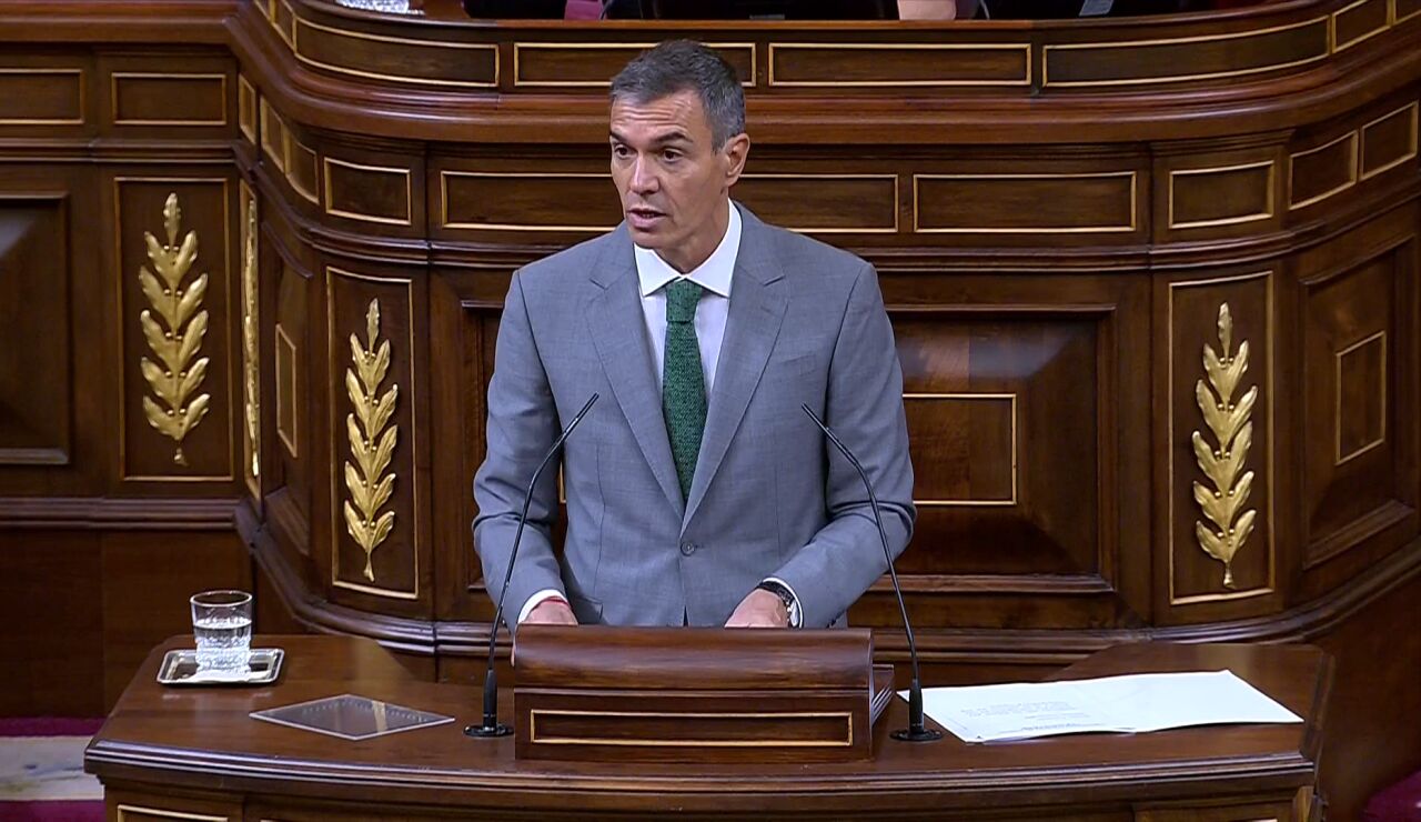 Pedro S&aacute;nchez en el Congreso
