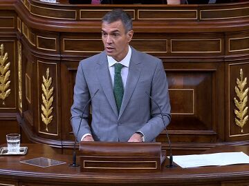 Pedro S&aacute;nchez en el Congreso