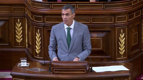 Pedro S&aacute;nchez en el Congreso