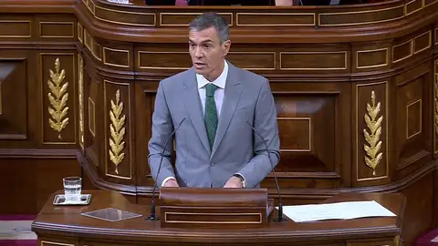 Pedro Sánchez en el Congreso Pedro Sánchez en el Congreso