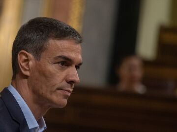 Pedro S&aacute;nchez