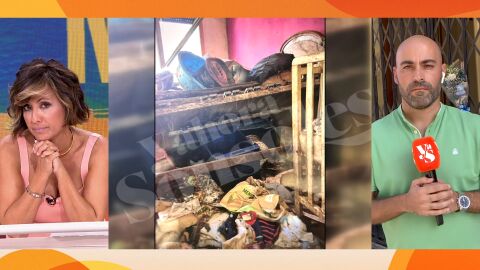 Crimen del beb&eacute; en una caja