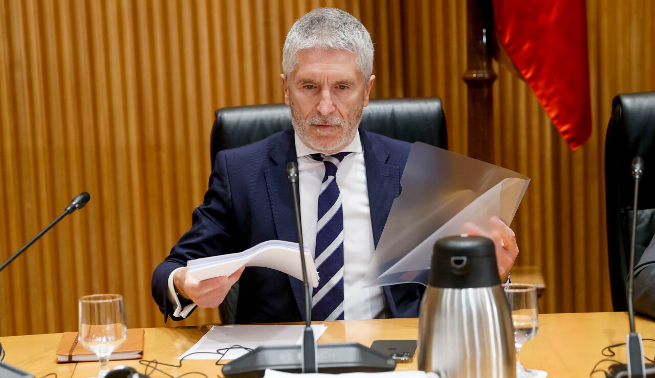 Fernando Grande Marlaska, ministro de Interior